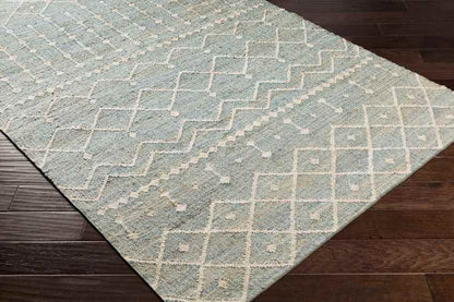 Barlaque Global Sage Area Rug