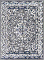Belvert Traditional Medium Gray Area Rug
