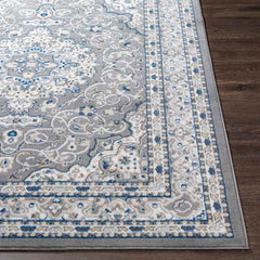 Belvert Traditional Medium Gray Area Rug