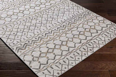 Berghem Global Light Gray Area Rug