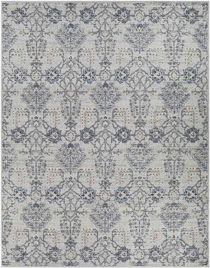 Berkeind Traditional Grey Area Rug