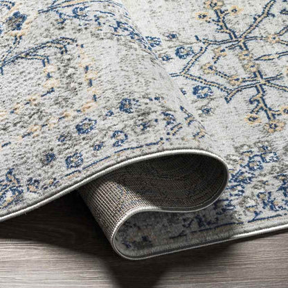 Berkeind Traditional Grey Area Rug