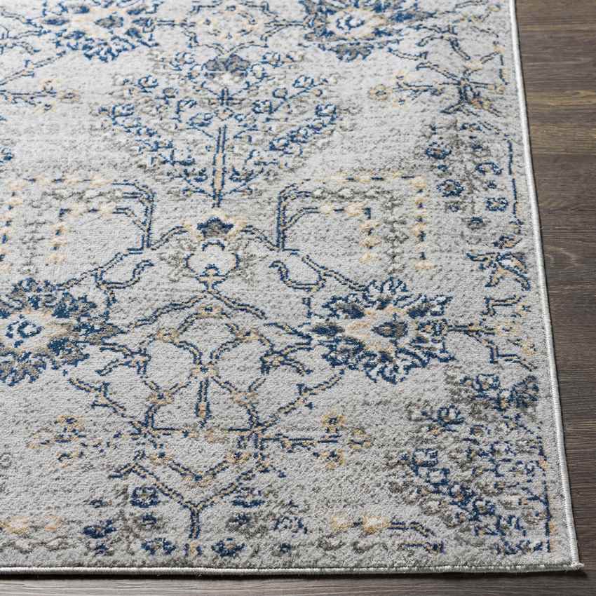 Berkeind Traditional Grey Area Rug