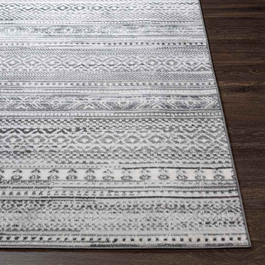 Berlicum Global Medium Gray Area Rug