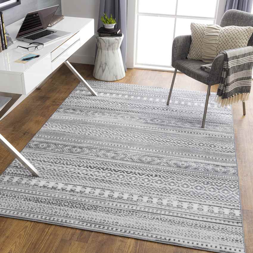 Berlicum Global Medium Gray Area Rug
