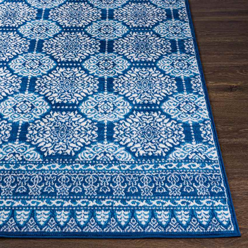 Beugen Traditional Blue Area Rug