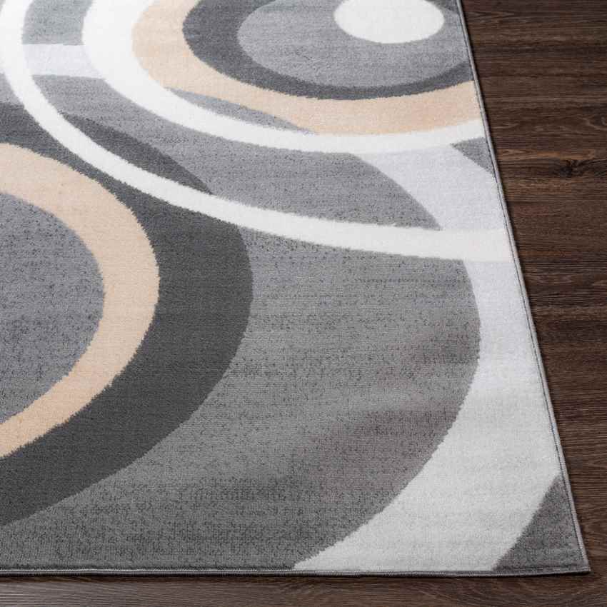 Bokhoven Modern Medium Gray Area Rug