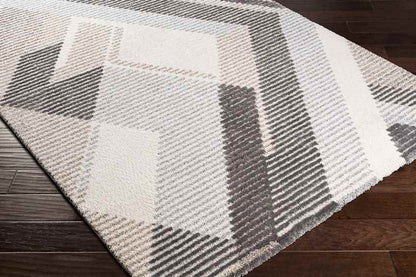 Boksheide Modern Medium Gray Area Rug