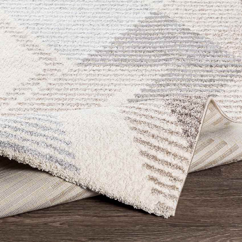 Boksheide Modern Medium Gray Area Rug