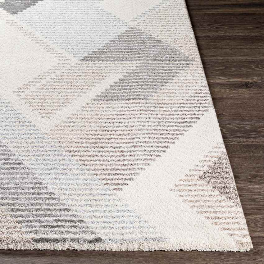 Boksheide Modern Medium Gray Area Rug