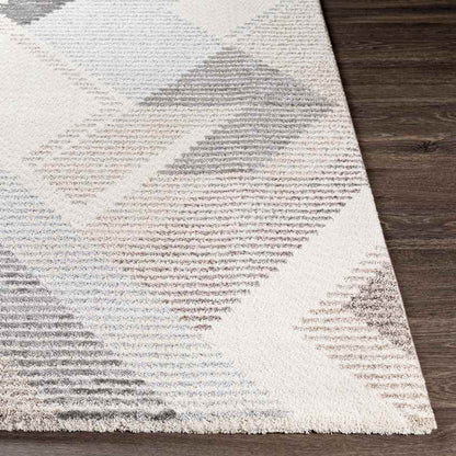 Boksheide Modern Medium Gray Area Rug