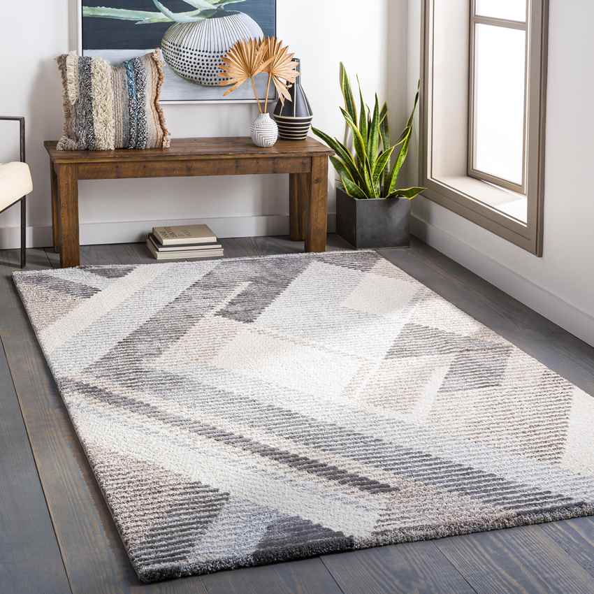 Boksheide Modern Medium Gray Area Rug