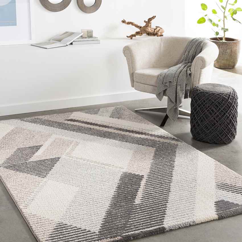 Boksheide Modern Medium Gray Area Rug