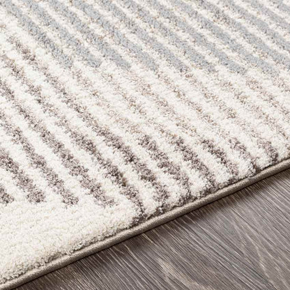 Boksheide Modern Medium Gray Area Rug