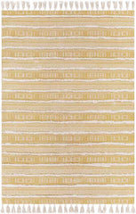 Castelre Global Apricot Area Rug