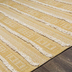 Castelre Global Apricot Area Rug