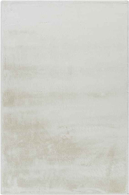 Casteren Modern White Area Rug