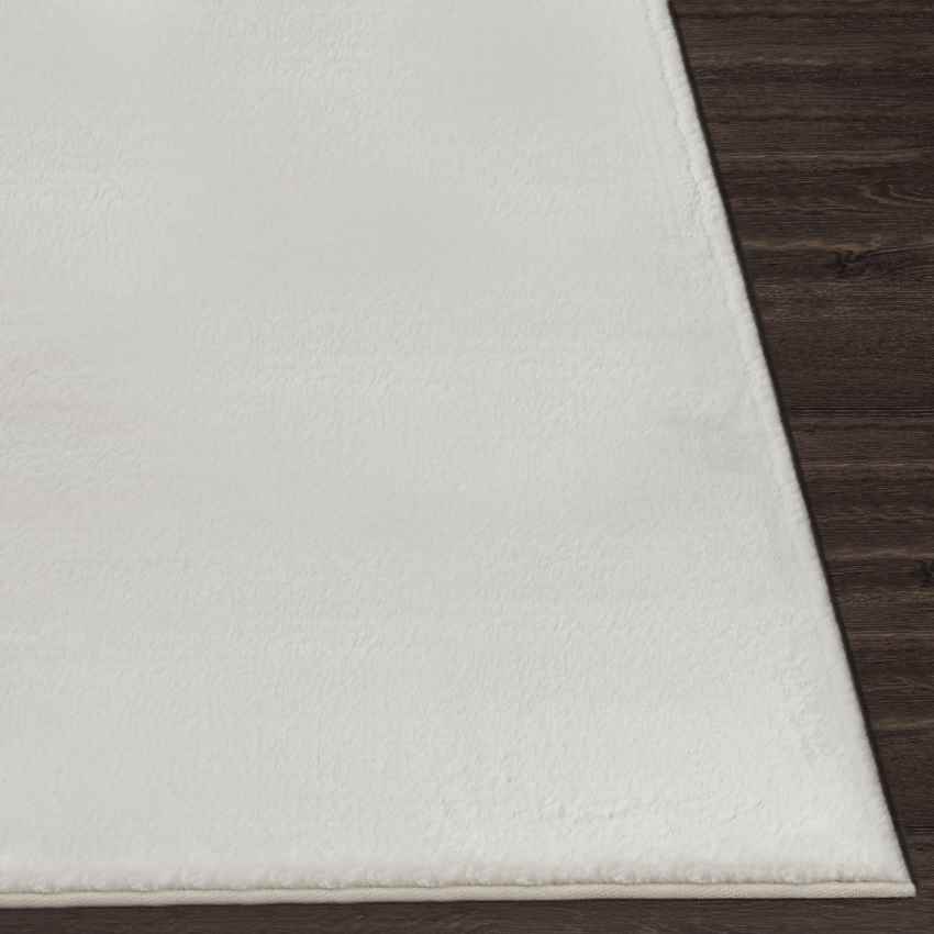 Casteren Modern White Area Rug