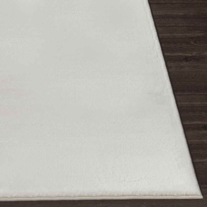 Casteren Modern White Area Rug