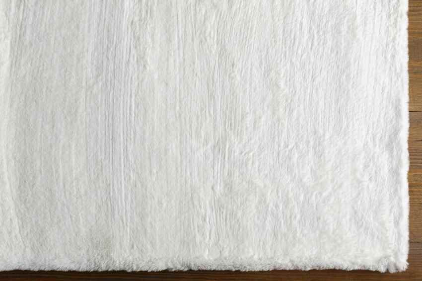 Casteren Modern White Area Rug