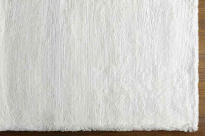 Casteren Modern White Area Rug