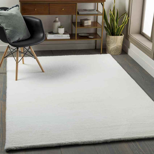 Casteren Modern White Area Rug