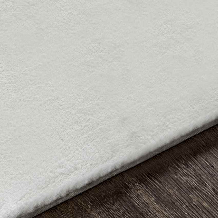 Casteren Modern White Area Rug