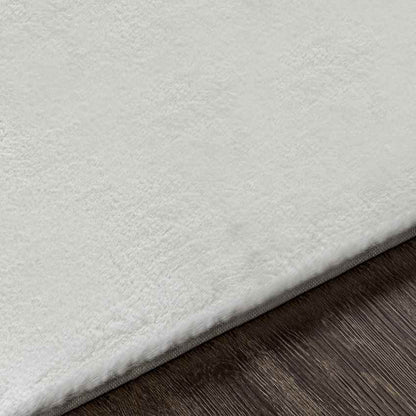 Casteren Modern White Area Rug