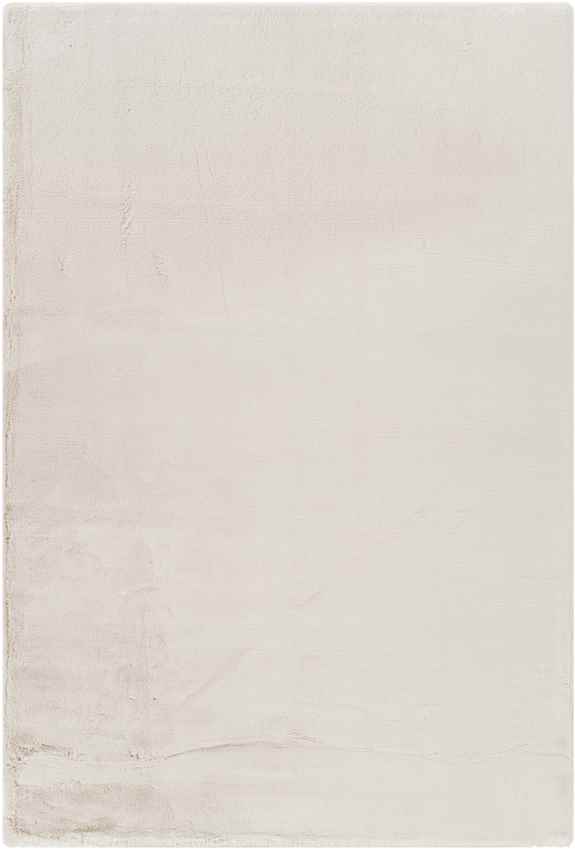 Casteren Modern Ivory Area Rug