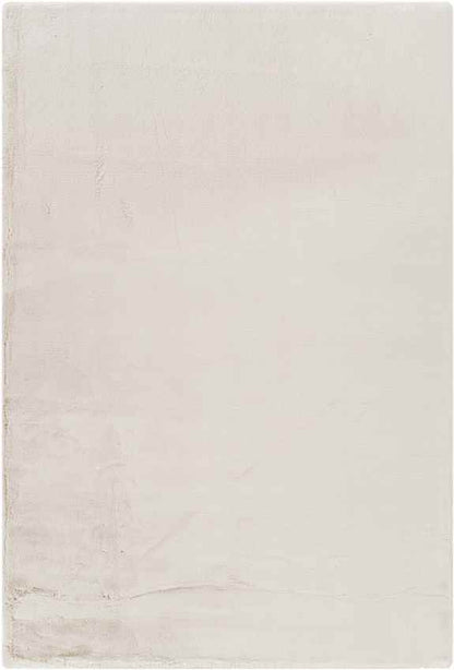 Casteren Modern Ivory Area Rug