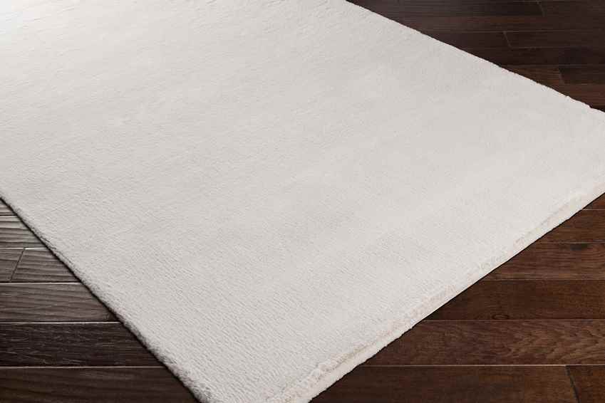 Casteren Modern Ivory Area Rug