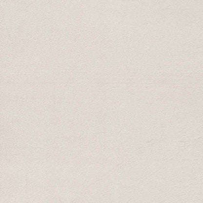 Casteren Modern Ivory Area Rug