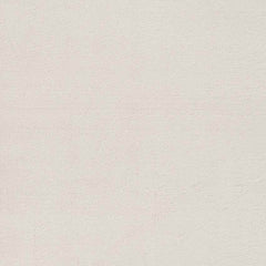 Casteren Modern Ivory Area Rug