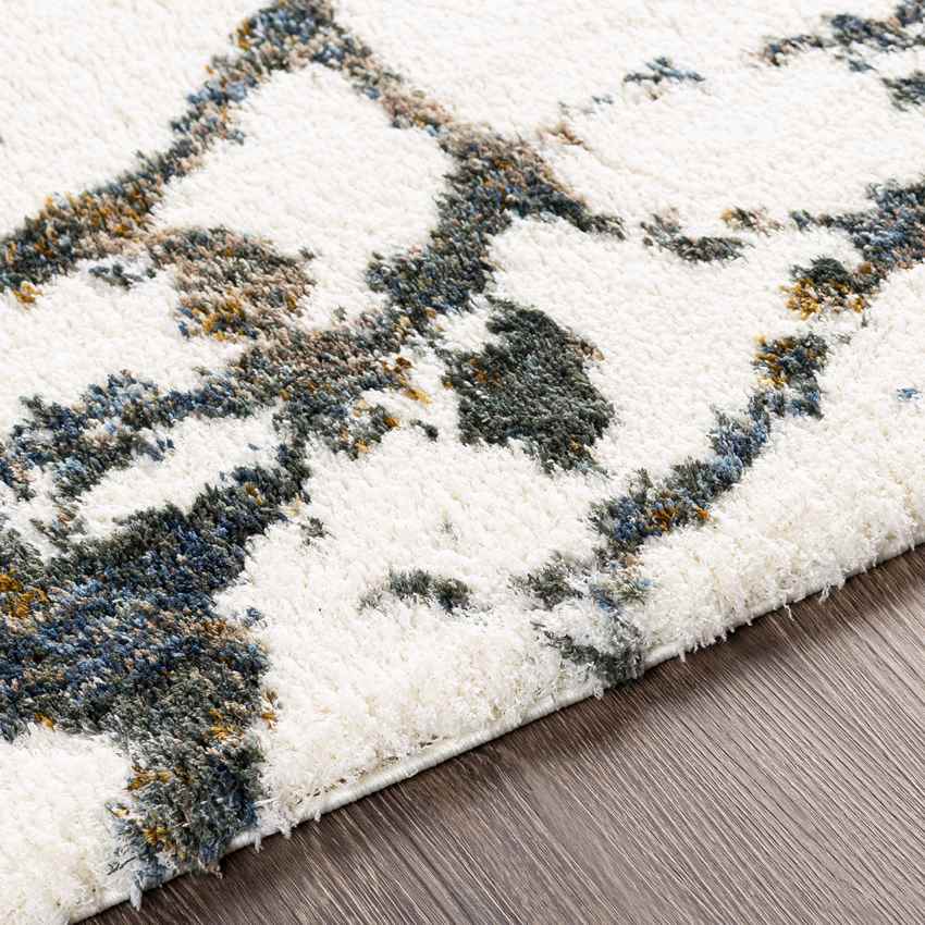 Druisdijk Modern Cream Area Rug