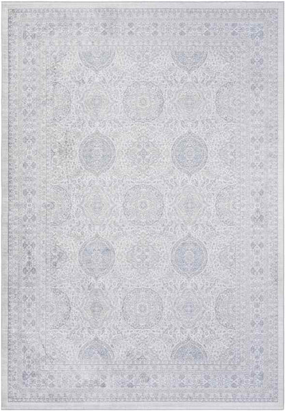 Dussen Traditional Light Gray Area Rug