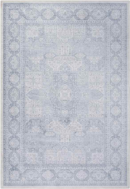 Eersel Traditional Pale Blue Area Rug