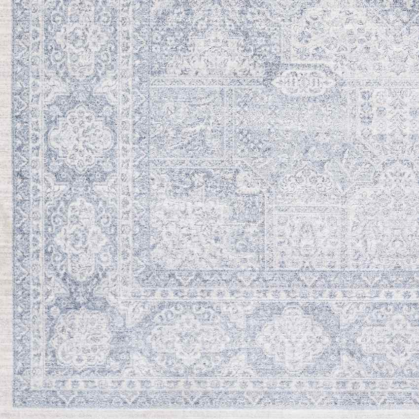 Eersel Traditional Pale Blue Area Rug