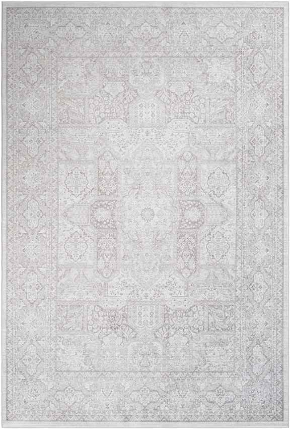 Eersel Traditional Light Gray Area Rug