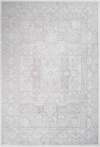 Eersel Traditional Light Gray Area Rug