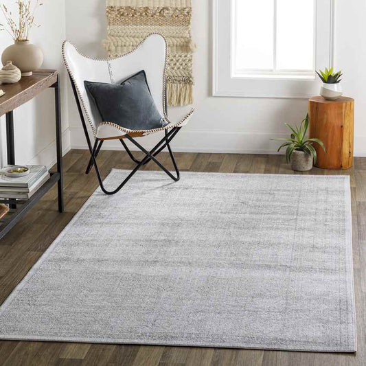 Eersel Traditional Light Gray Area Rug