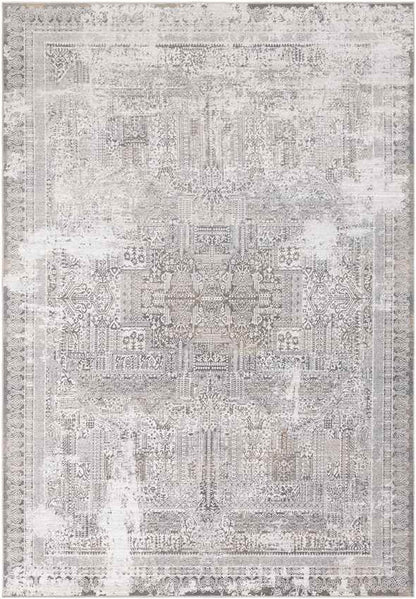 Egypte Traditional Light Gray Area Rug