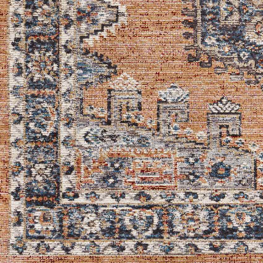 Grave Traditional Rust Area Rug