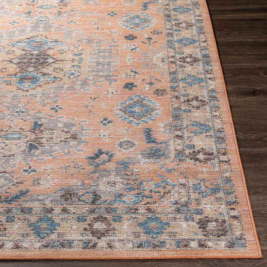 Graspeel Traditional Rust Area Rug