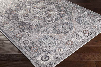 Grazen Traditional Light Gray Area Rug