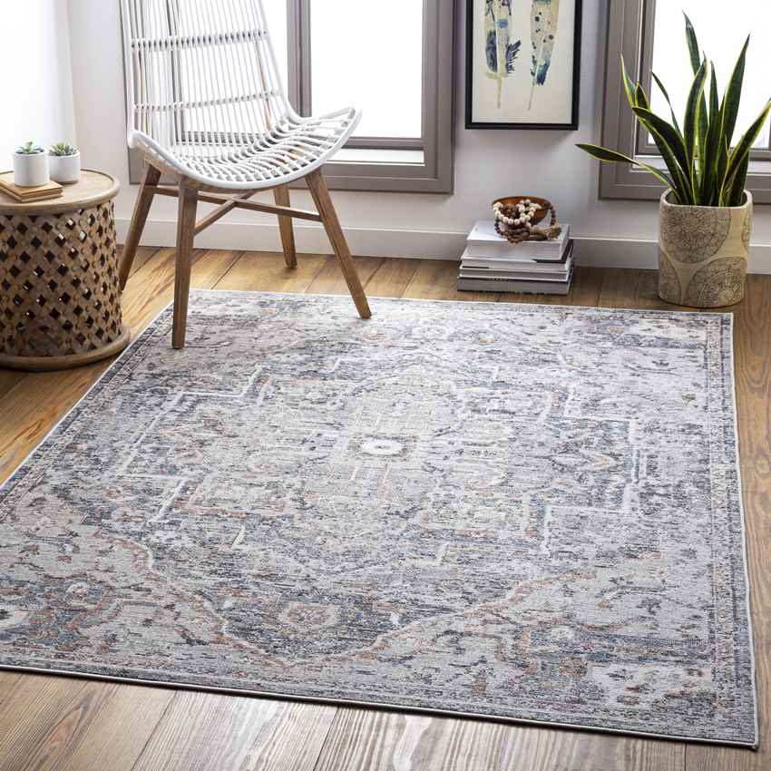 Grotel Traditional Charcoal Area Rug