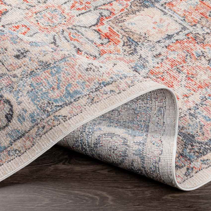 Grazen Traditional Bright Orange Area Rug