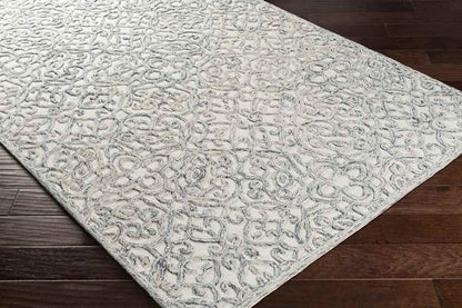Haghorst Traditional Medium Gray Area Rug