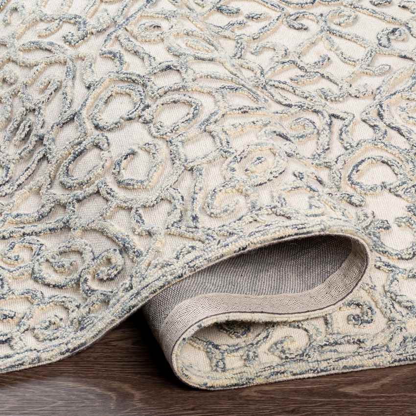 Haghorst Traditional Medium Gray Area Rug