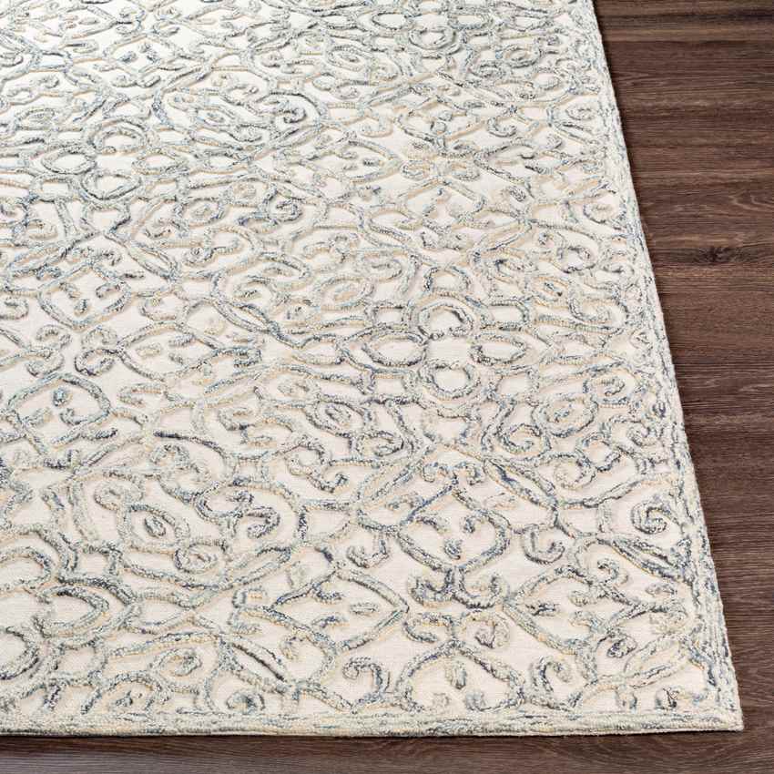 Haghorst Traditional Medium Gray Area Rug