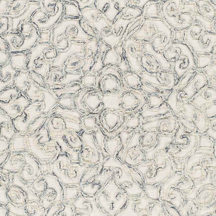 Haghorst Traditional Medium Gray Area Rug